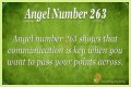 263 Angel Number Meaning - Pulptastic