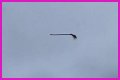 Disturbing video shows floating broom in the middle of the air and the internet is losing its collective mind