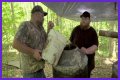   Why do Moonshiners use a raccoon pecker to distil their liquor?    Thu 28 October 2021 12:26    Helen Williams    