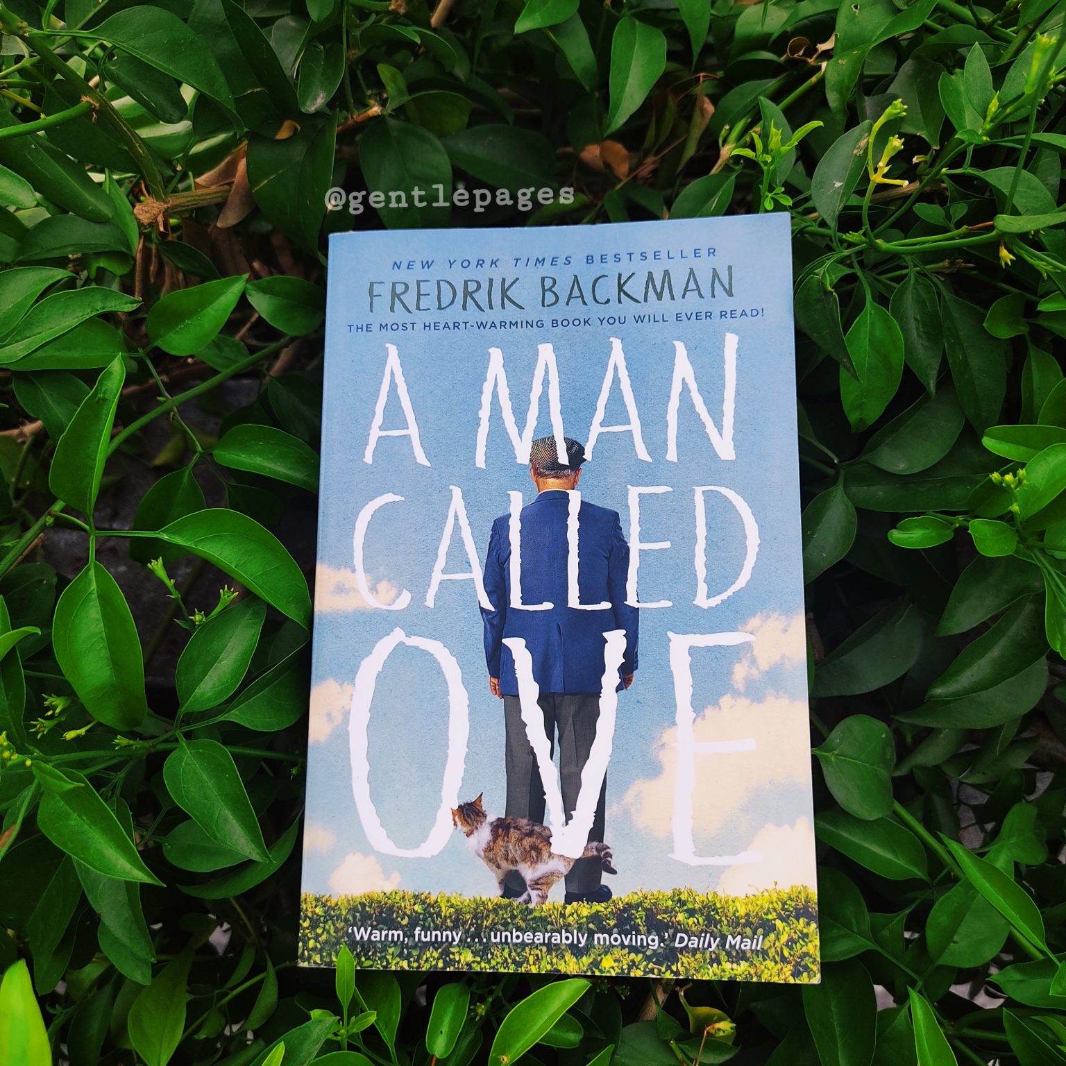 books similar to a man called ove